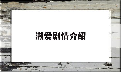 溯爱剧情介绍(溯爱电视剧国语版全集9集)