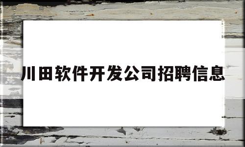 川田软件开发公司招聘信息(川田精密机械有限公司怎么样)