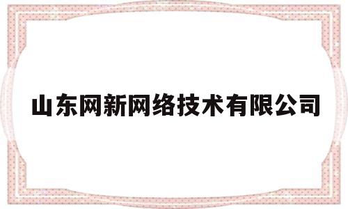 山东网新网络技术有限公司(山东网新网络技术有限公司怎么样)