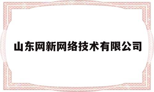 山东网新网络技术有限公司(山东网新网络技术有限公司怎么样)