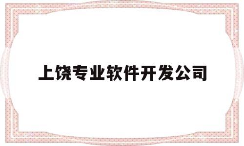 上饶专业软件开发公司(上饶专业软件开发公司排名)