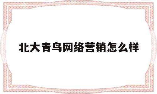 北大青鸟网络营销怎么样(北大青鸟网络营销怎么样知乎)