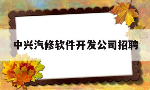 中兴汽修软件开发公司招聘(中兴汽修软件开发公司招聘电话)