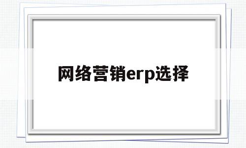 网络营销erp选择(网络营销erp选择什么类型)