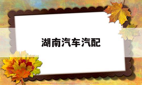 湖南汽车汽配(长沙汽车配件批发电话)