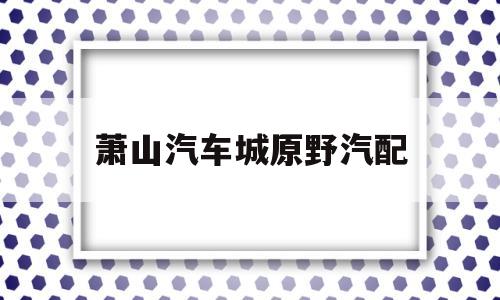 萧山汽车城原野汽配(萧山原野汽配城商铺出售)