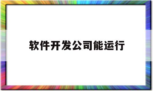 软件开发公司能运行(软件开发公司能运行吗)