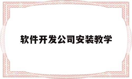软件开发公司安装教学(开发软件公司需要准备什么)
