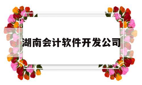 湖南会计软件开发公司(湖南会计软件开发公司招聘)