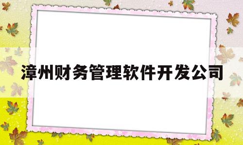 漳州财务管理软件开发公司(漳州财务管理软件开发公司有哪些)