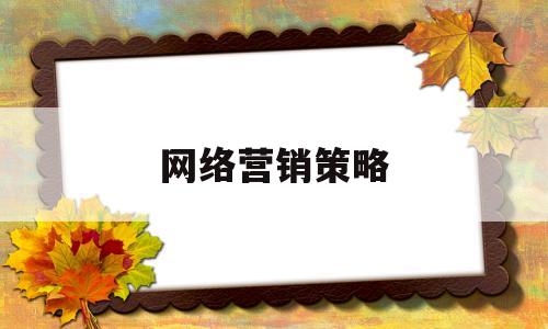 网络营销策略(网络营销策略研究论文)