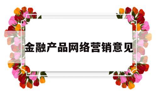 金融产品网络营销意见(金融产品网络营销意见怎么写)
