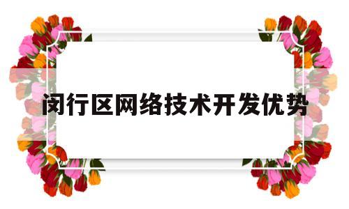 闵行区网络技术开发优势(网络技术企业借助互联网优势)