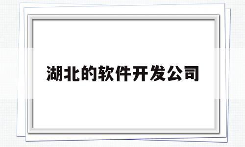 湖北的软件开发公司(武汉开发软件好的公司)