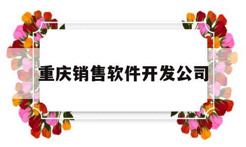 重庆销售软件开发公司(重庆软件开发培训怎么样)