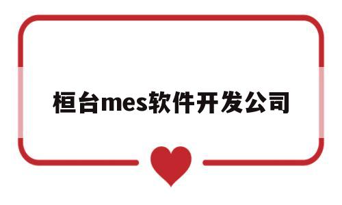 关于桓台mes软件开发公司的信息