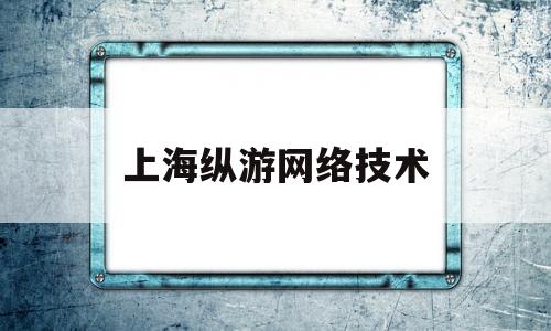 上海纵游网络技术(上海纵游网络技术有限公司的作品)