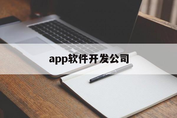 app软件开发公司(app软件开发公司排行榜)