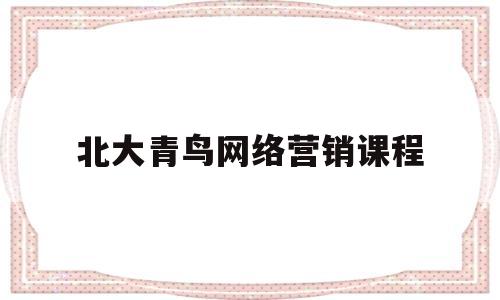 北大青鸟网络营销课程(北大青鸟网络专业有哪些)