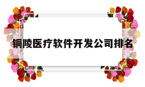 铜陵医疗软件开发公司排名的简单介绍