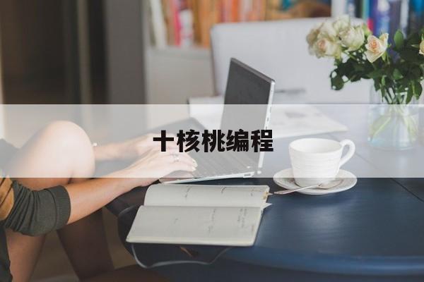 十核桃编程(核桃编程教学视频)