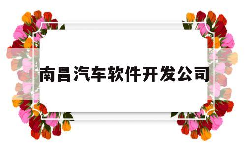南昌汽车软件开发公司(南昌汽车软件开发公司排名)