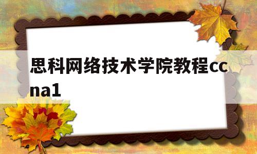 思科网络技术学院教程ccna1(思科网络技术学院教程第7版电子版)