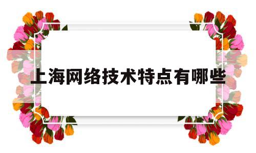 上海网络技术特点有哪些(上海网络技术有限公司是什么公司)