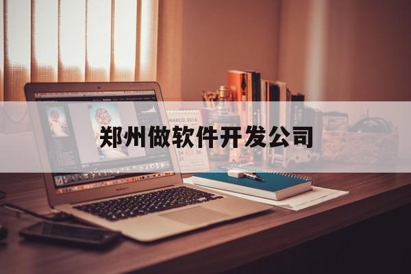 郑州做软件开发公司(郑州做软件开发公司的公司)