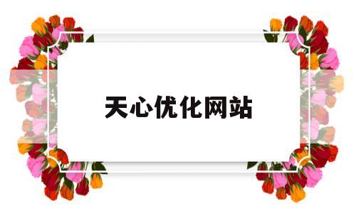 天心优化网站(无言之证无言见证)