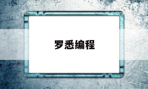 罗悉编程(罗悉编程机器人)