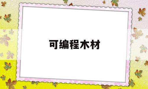 可编程木材(可编程玩具推荐)