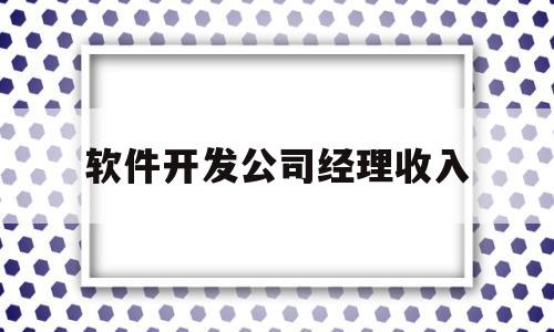 软件开发公司经理收入(软件公司经理工资一月多少)