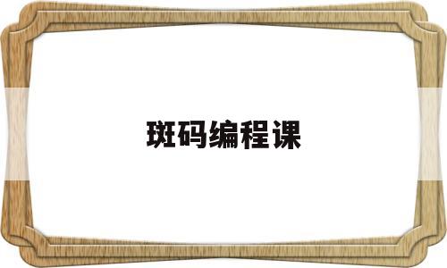 斑码编程课(小斑码编程教育)