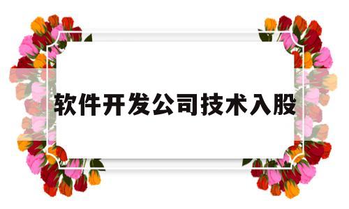 软件开发公司技术入股(软件公司投资需要多少钱)