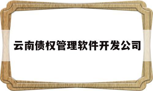 云南债权管理软件开发公司(云南债权管理软件开发公司排名)