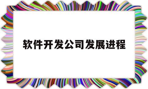 软件开发公司发展进程(软件开发公司发展进程怎么写)