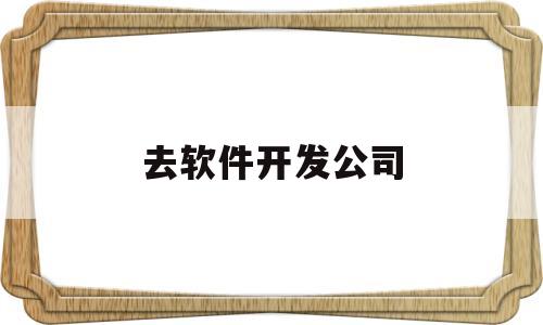 去软件开发公司(软件开发公司赚钱吗)