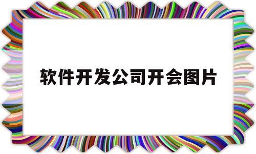 软件开发公司开会图片(软件开发公司会计怎么做)