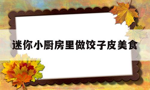 迷你小厨房里做饺子皮美食(迷你小厨房里做饺子皮美食怎么做)