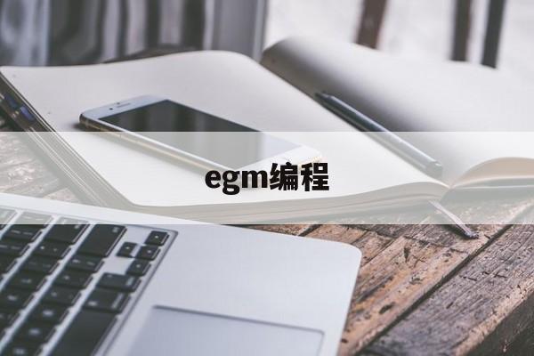 egm编程(egm动漫官网)
