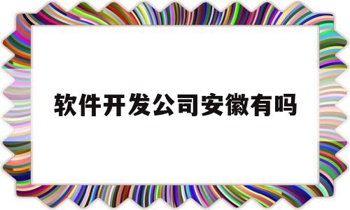 软件开发公司安徽有吗(合肥的软件开发行业怎么样)