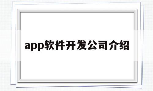 app软件开发公司介绍(app开发的知名公司有哪些)