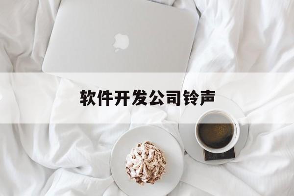 软件开发公司铃声(软件开发公司叫什么)