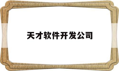 天才软件开发公司(天才软件开发公司怎么样)
