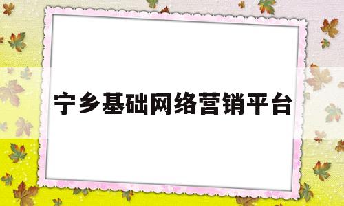 宁乡基础网络营销平台(宁乡市查获2个网络传销窝点)