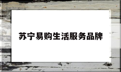 苏宁易购生活服务品牌(苏宁易购生活服务品牌是什么)