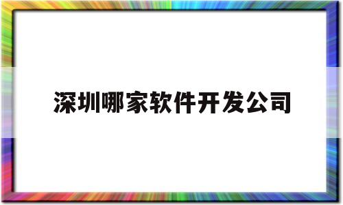 深圳哪家软件开发公司(深圳有名的软件开发公司在哪里)