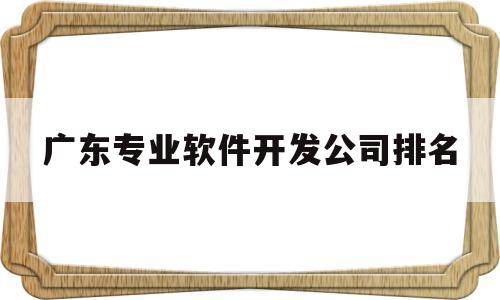 广东专业软件开发公司排名(广东专业软件开发公司排名榜)