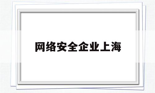 网络安全企业上海(上海网络安全服务公司)